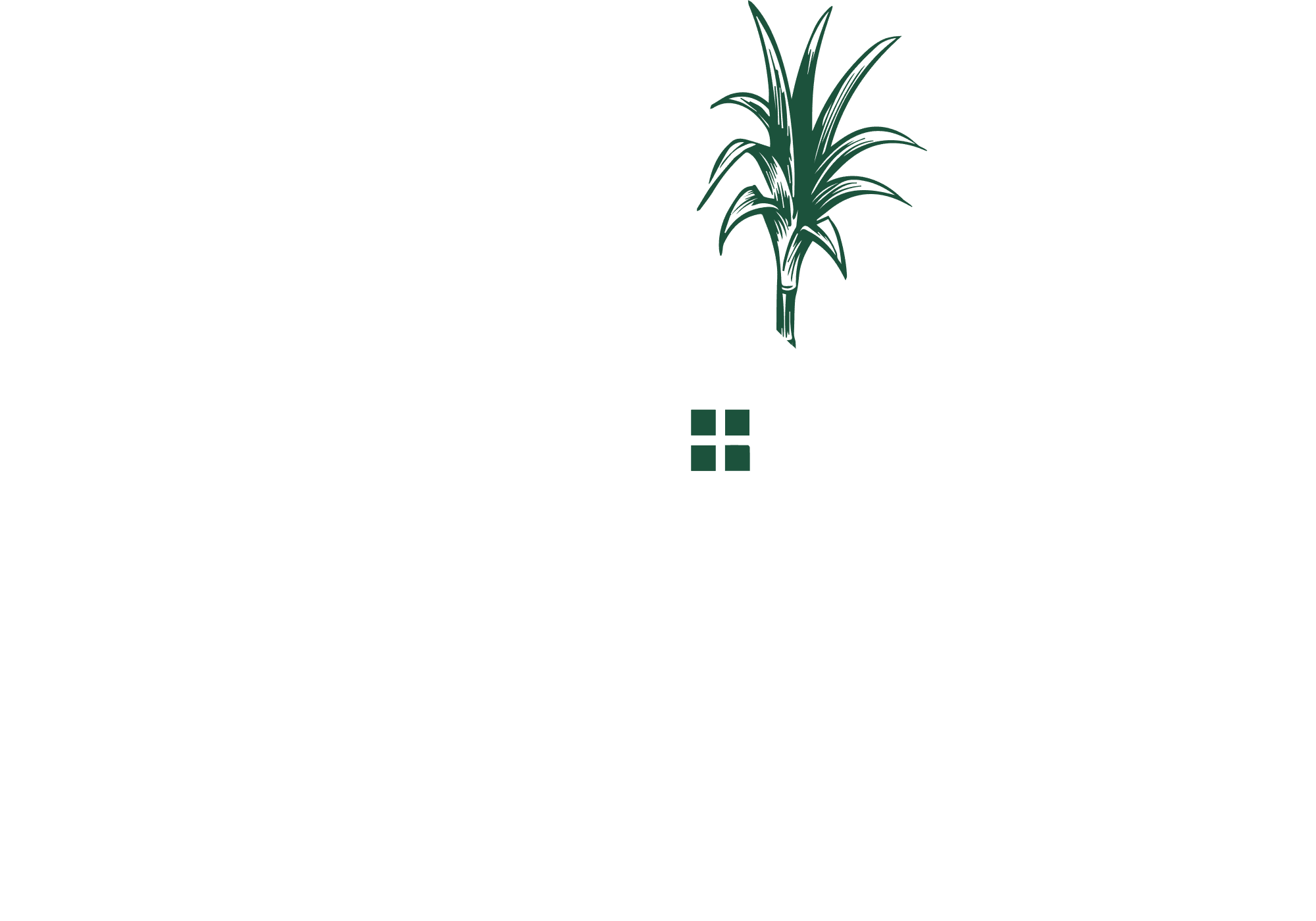 Image du Logo